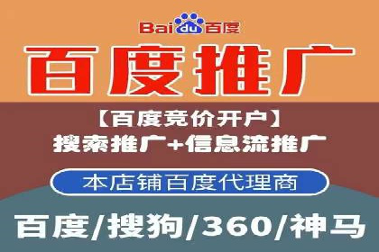 顶级SEM服务公司案例解析